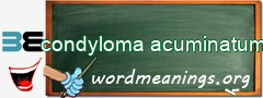 WordMeaning blackboard for condyloma acuminatum